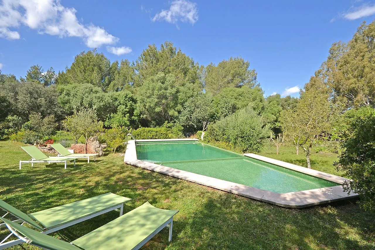 Villa Spiros Alcudia  Holiday home Alcudia (Mallorca)